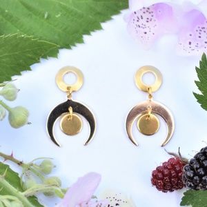 Stunning Crescent Moon Dangle Earrings